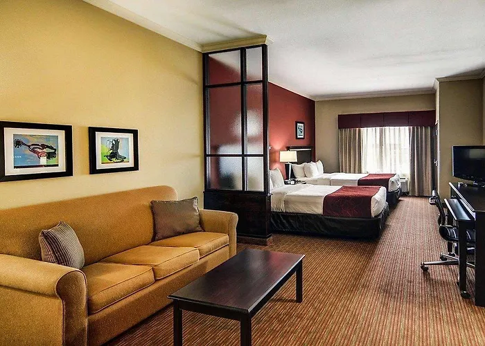 Comfort Worth South Hotel