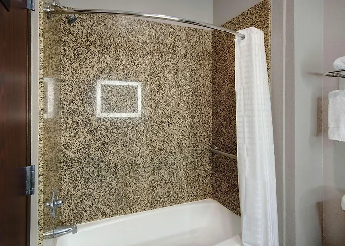Hotel Comfort Worth South Fort Worth